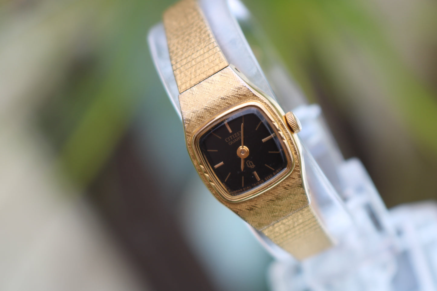 Citizen Watch-